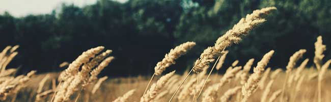 服务器攻击方式