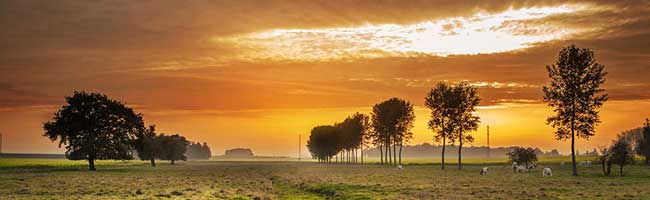 ddos网页在线攻击